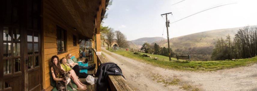 Buster, Suzybee, Steevio and Tom on the veranda