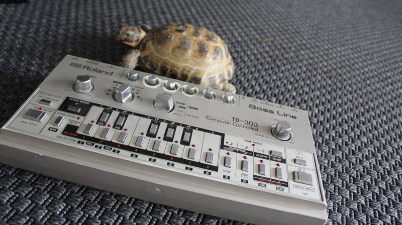 Roland TB-303 Bassline