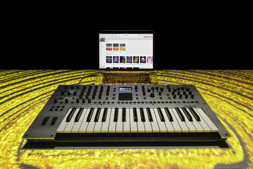 Roland Gaia 2